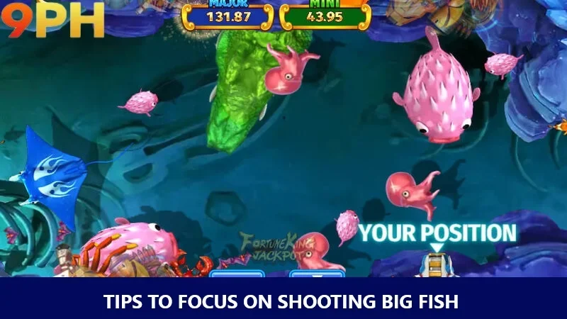 Tips for focusing on shooting big fish